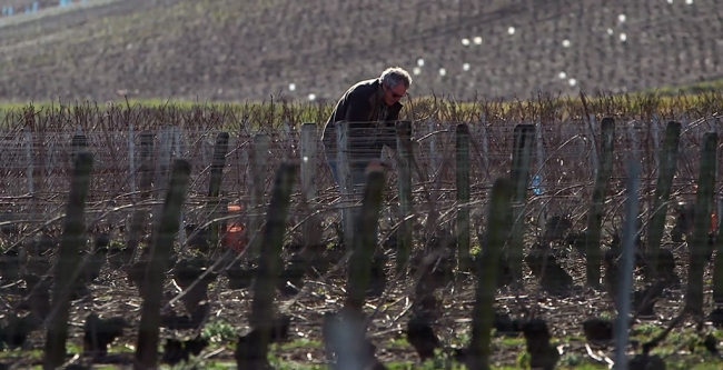 Champagne CARON Frdric - 