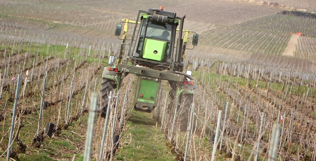 Champagne CARON Frdric - 